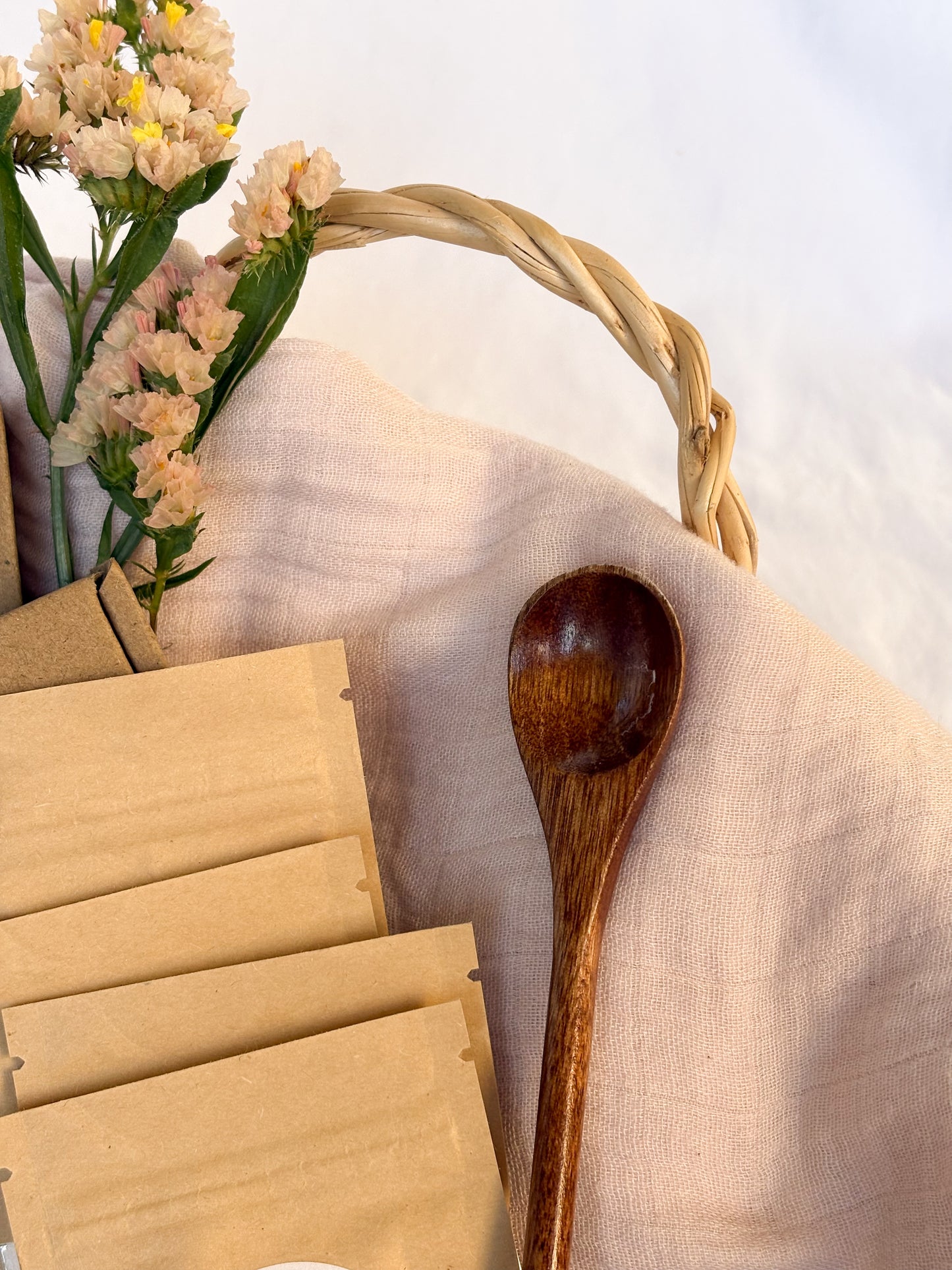 Curious Collector Kit