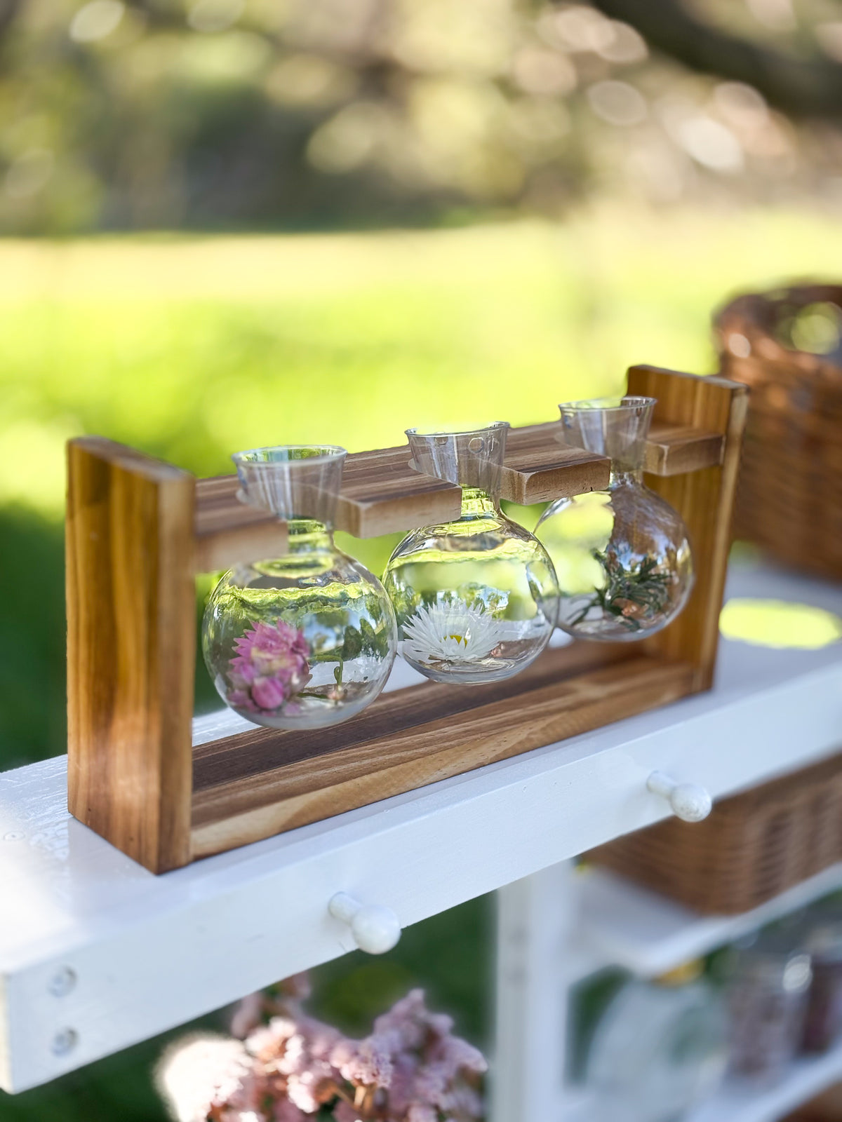 Petit Perfumery Kit (Grande)