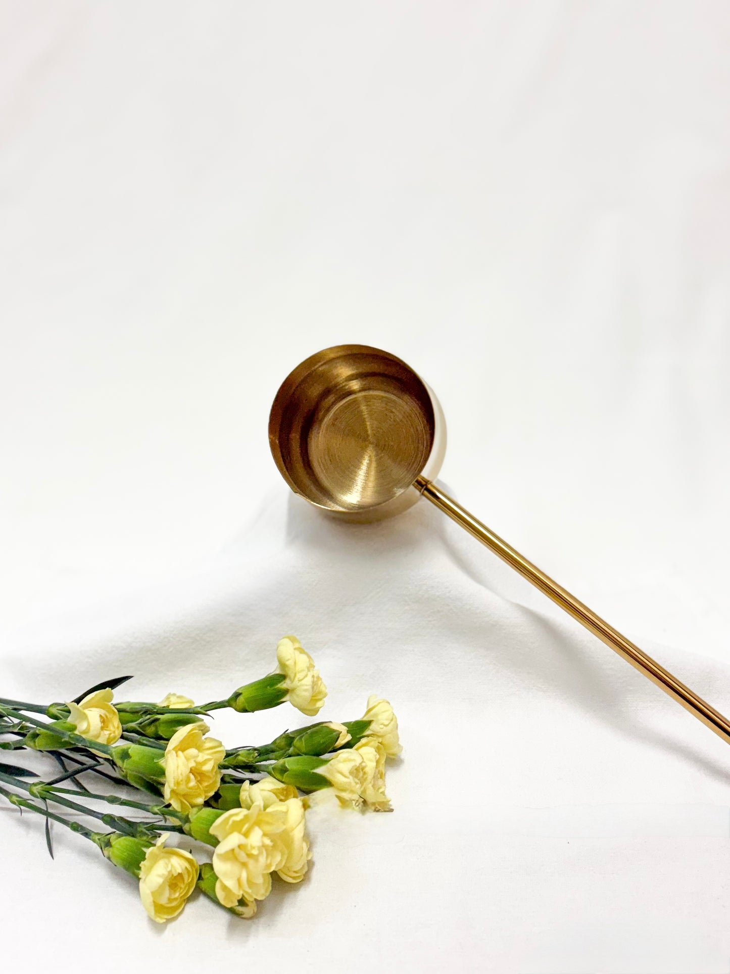 Alchemists Ladle