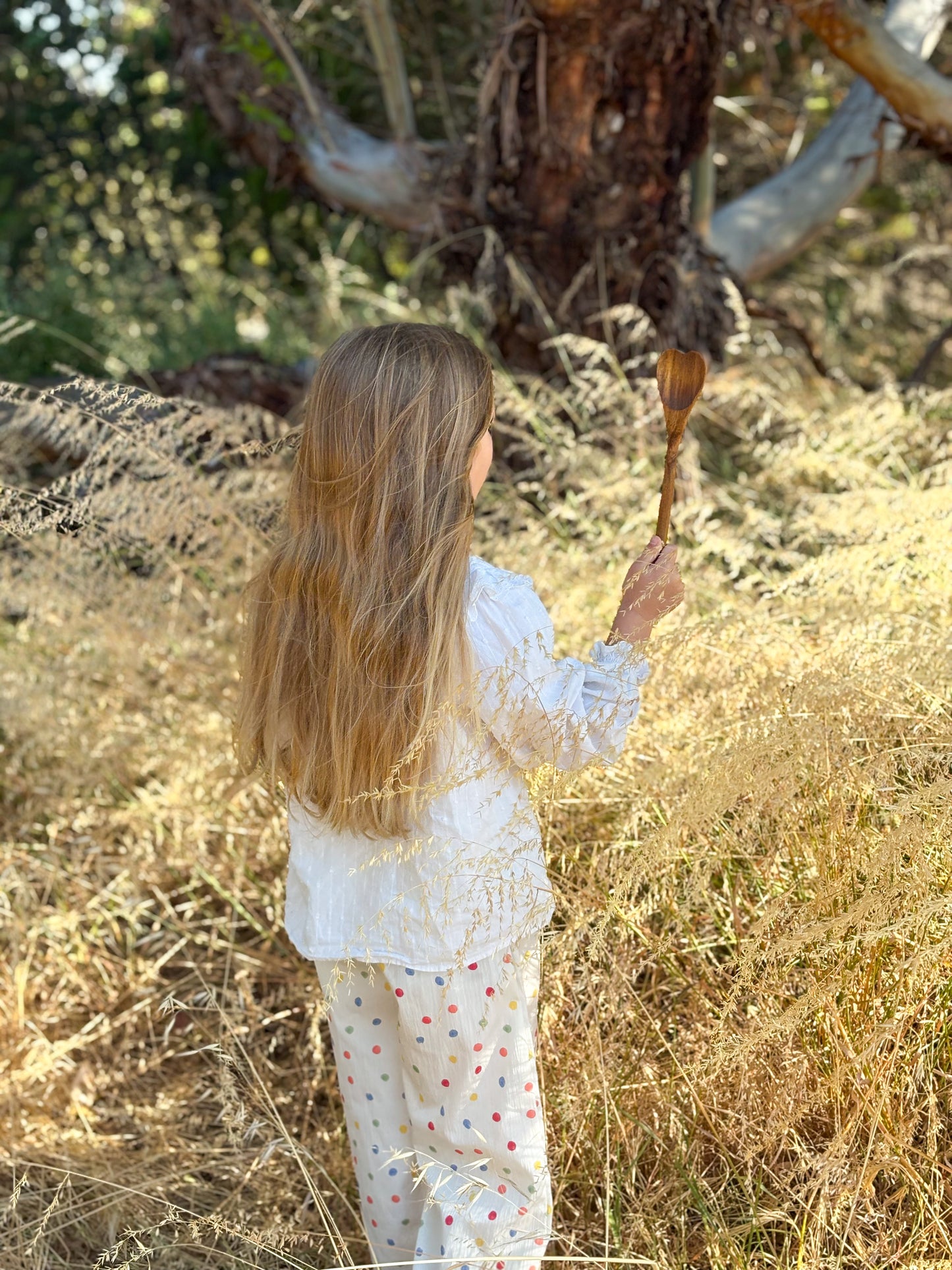 Aware Adventurer Kit