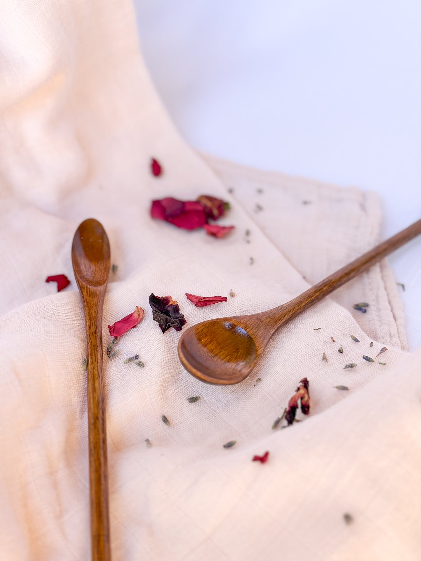 Curious Collector Kit