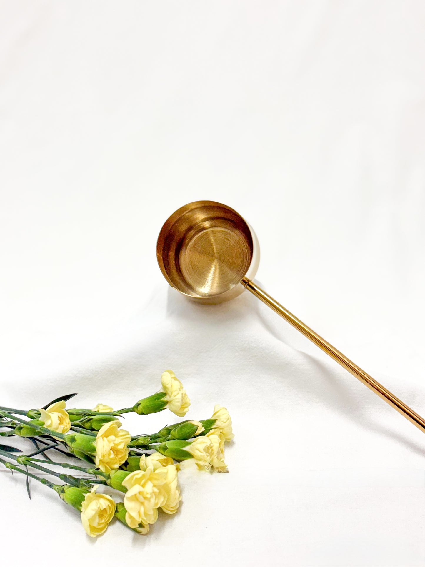 Alchemists Ladle
