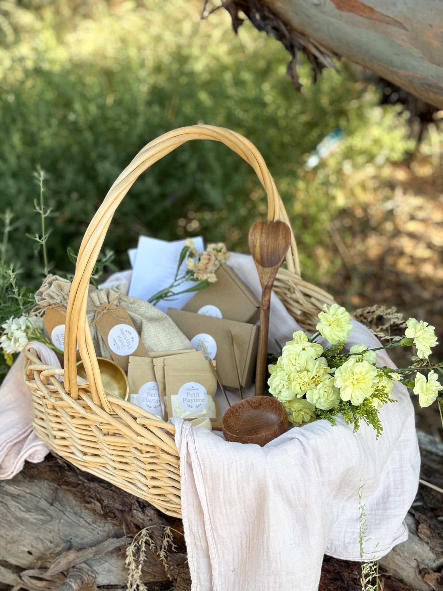 Aware Adventurer Kit