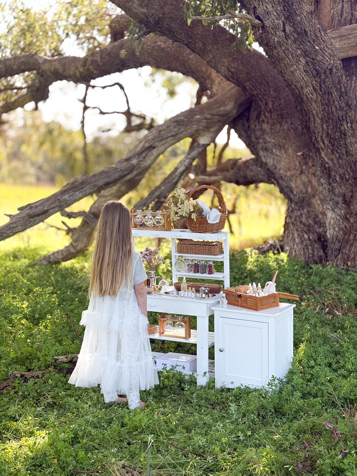 Petit Perfumery Kit (Grande)