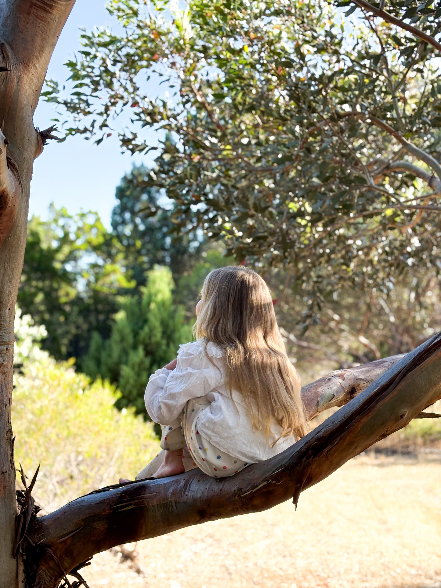 Aware Adventurer Kit