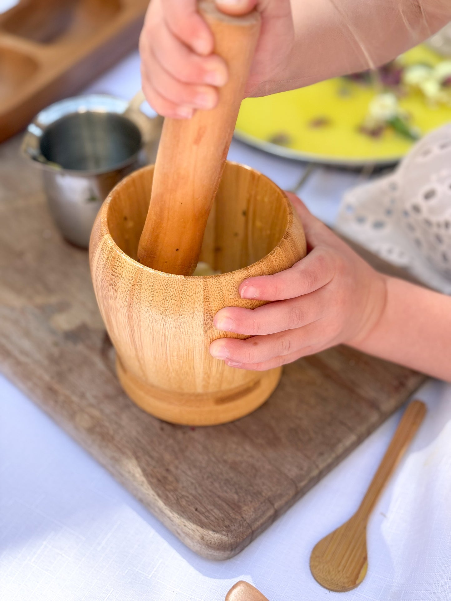 Curious Collector Kit